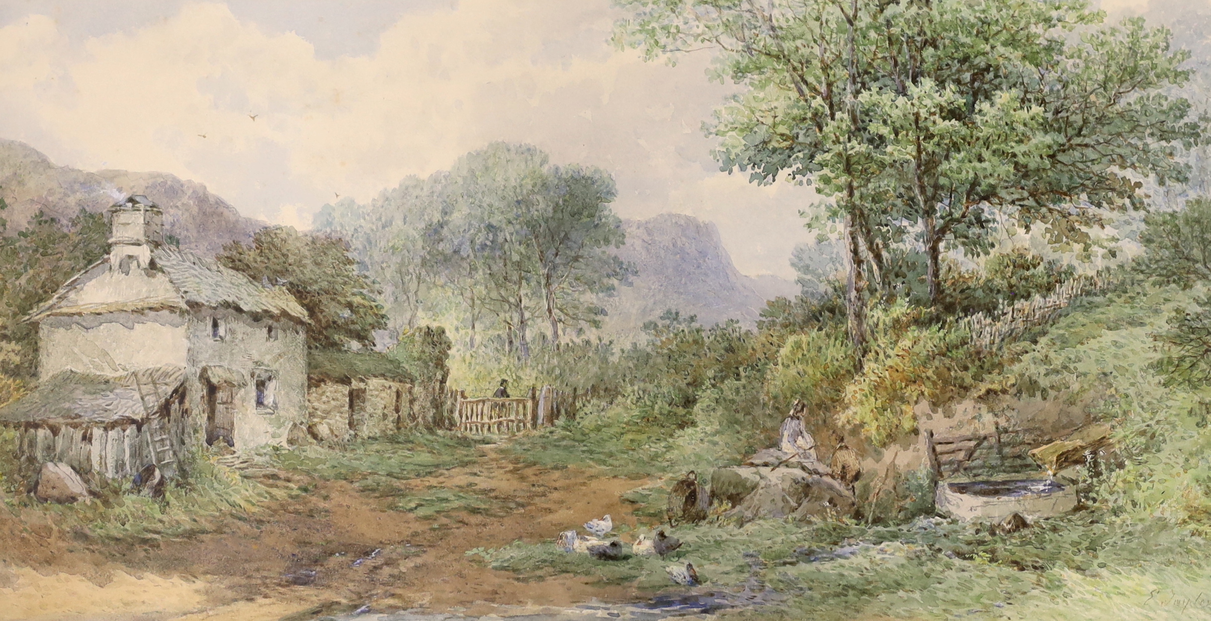 E. Taylor (19th. C), pair of watercolours, Rural landscapes with cattle and ducks, signed, 26 x 51cm